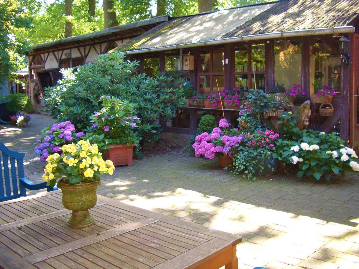 Ferienhaus Eichhof, Garlstorf - Lueneburger Heide 外观 照片